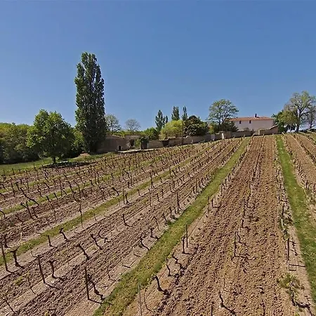 Domaine Borgnette Fantastique Maison